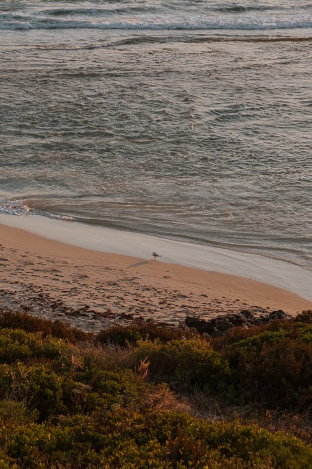 jana meerman yanchep lagoon beach sunset australia-01