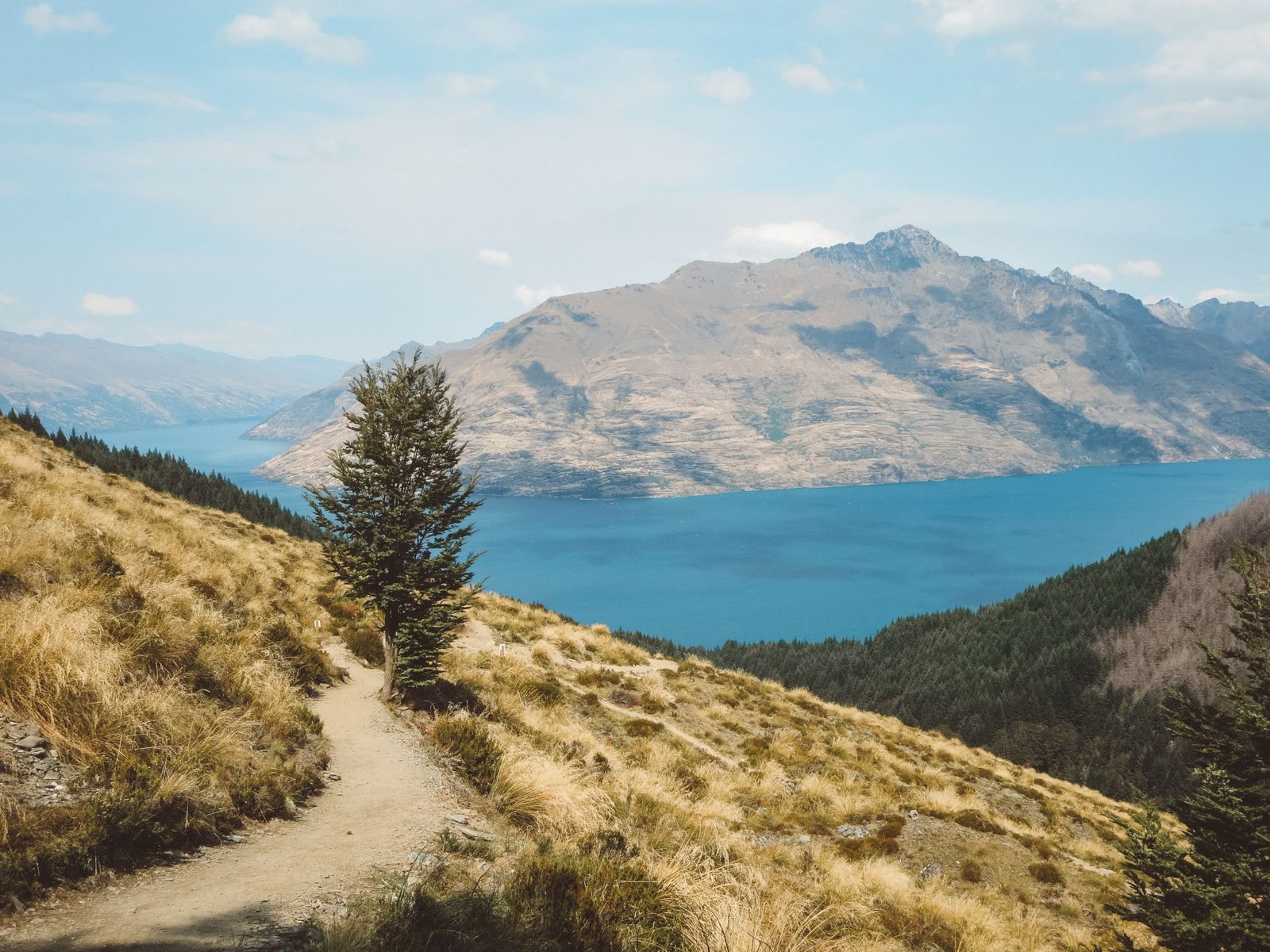 jana meerman ben lomond summit hike