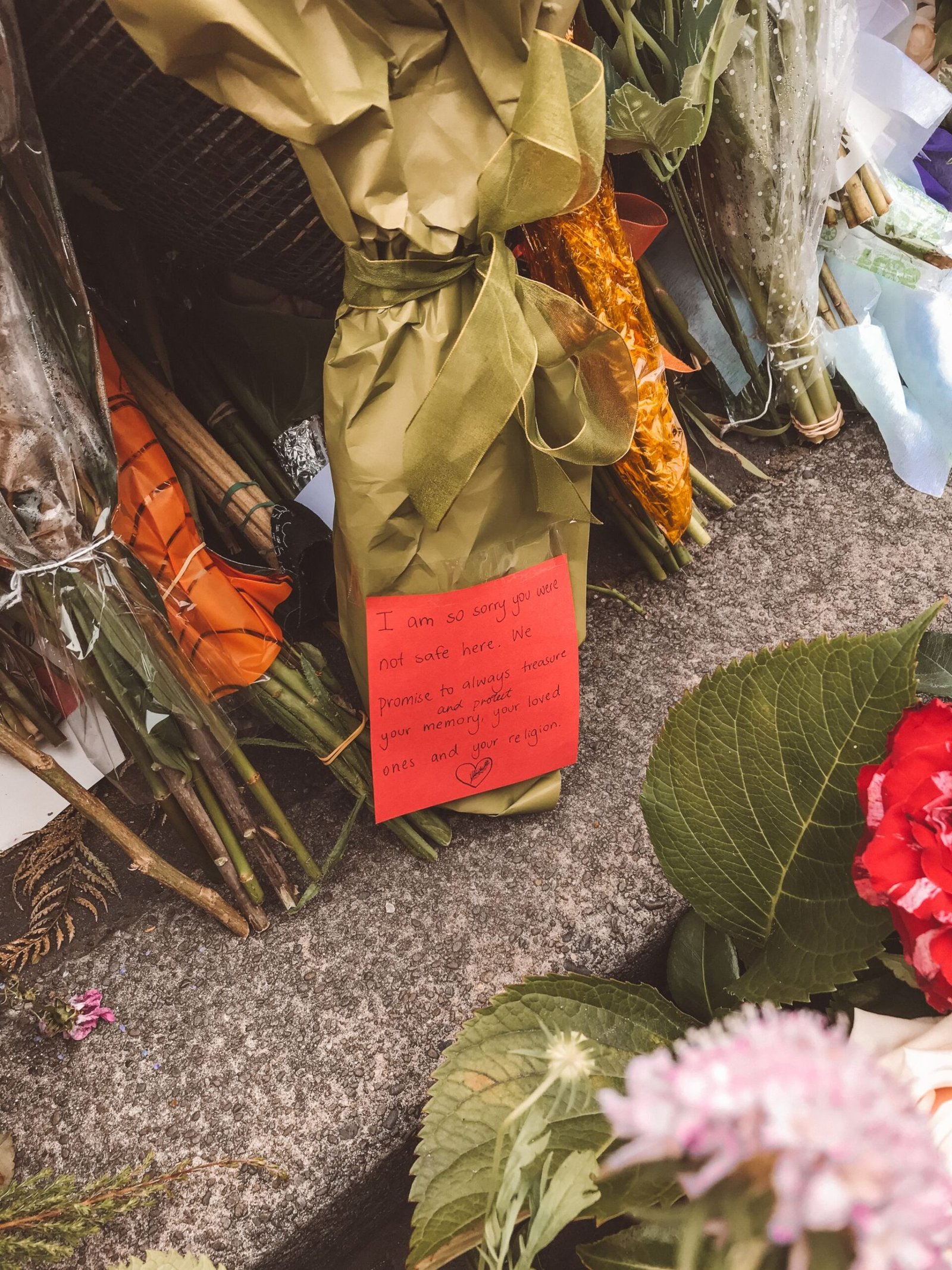 jana meerman christchurch (1)