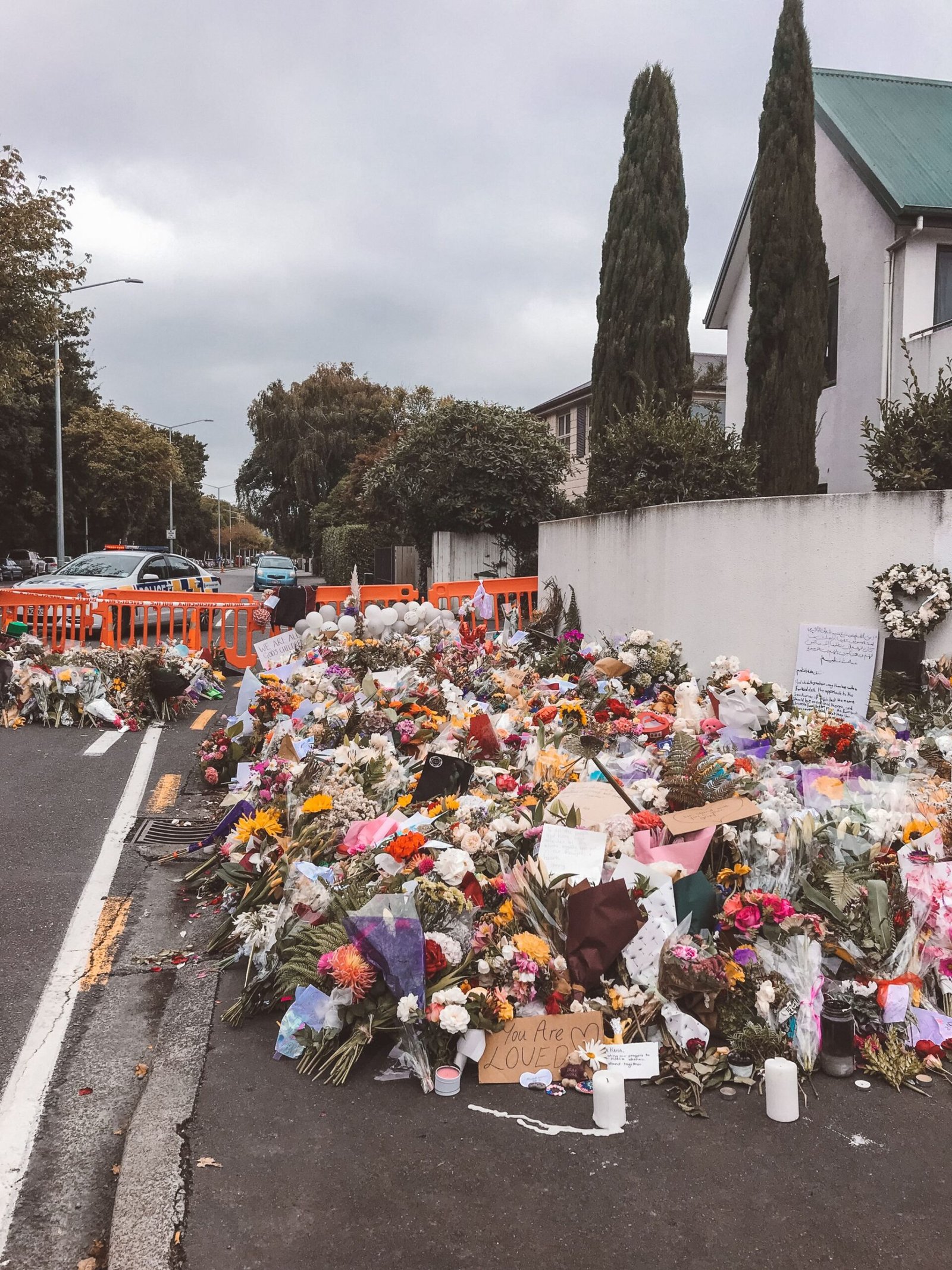 jana meerman christchurch (6)