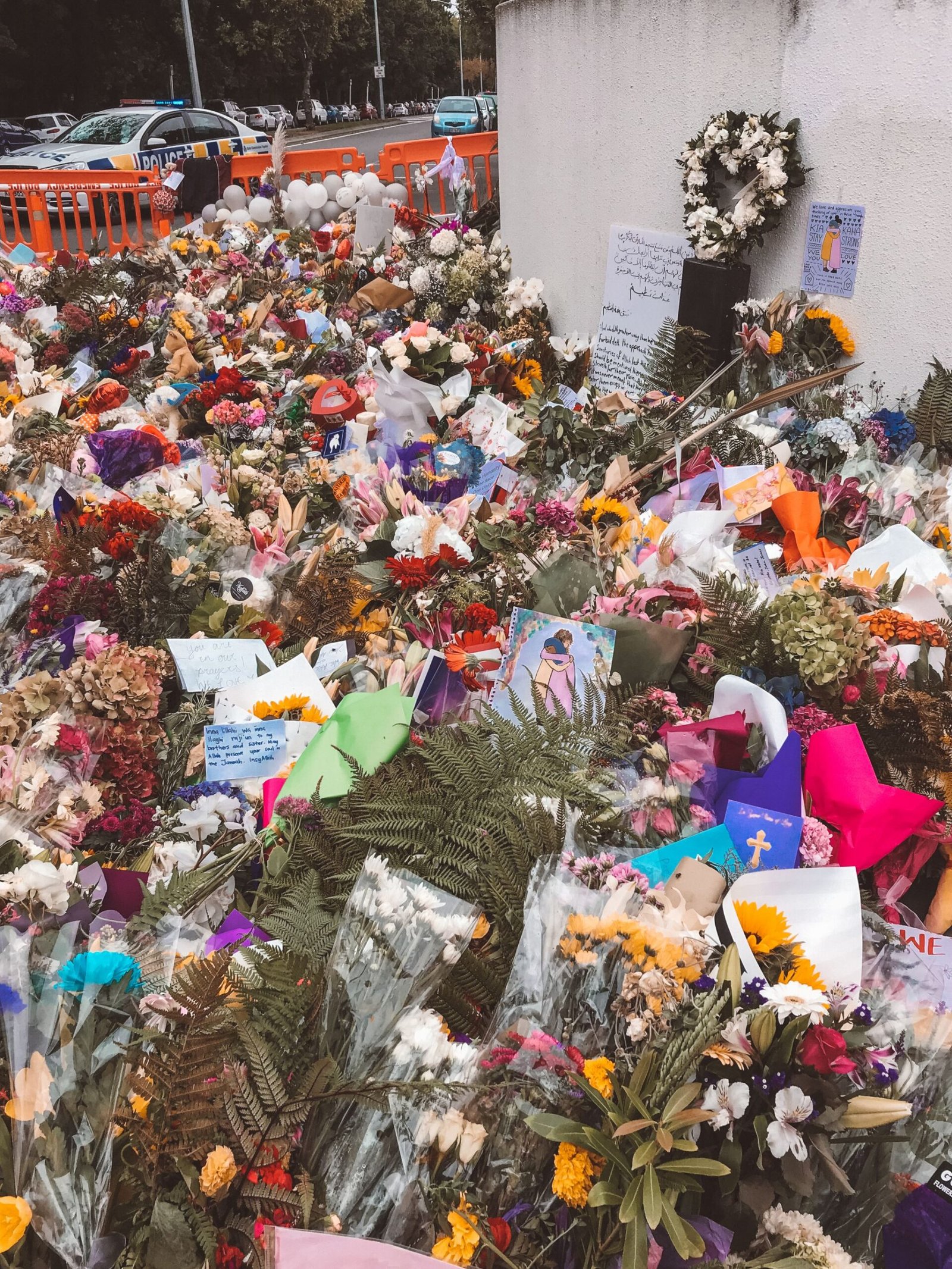 jana meerman christchurch (6)