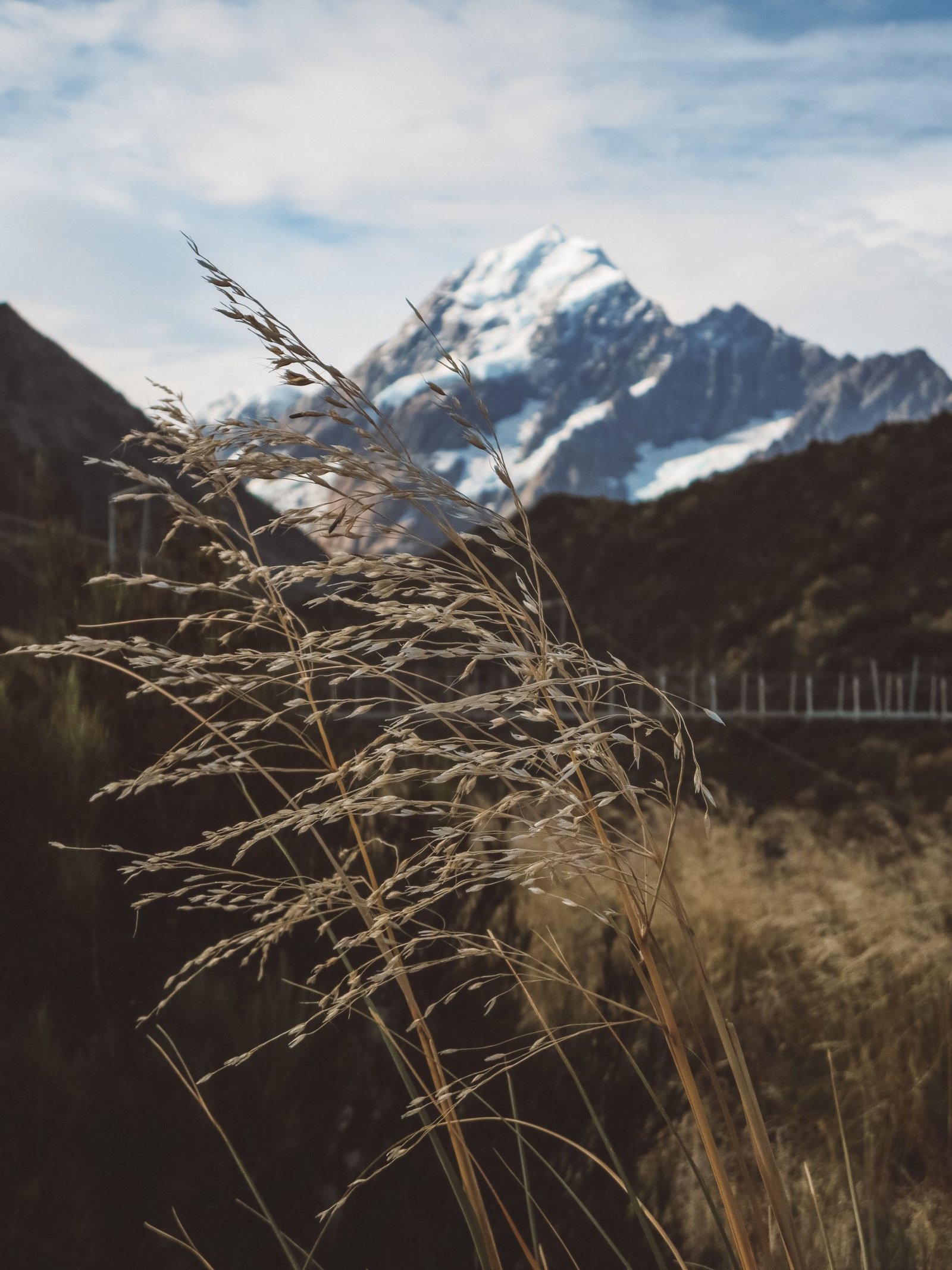 jana meerman hooker valley track mount cook (3)