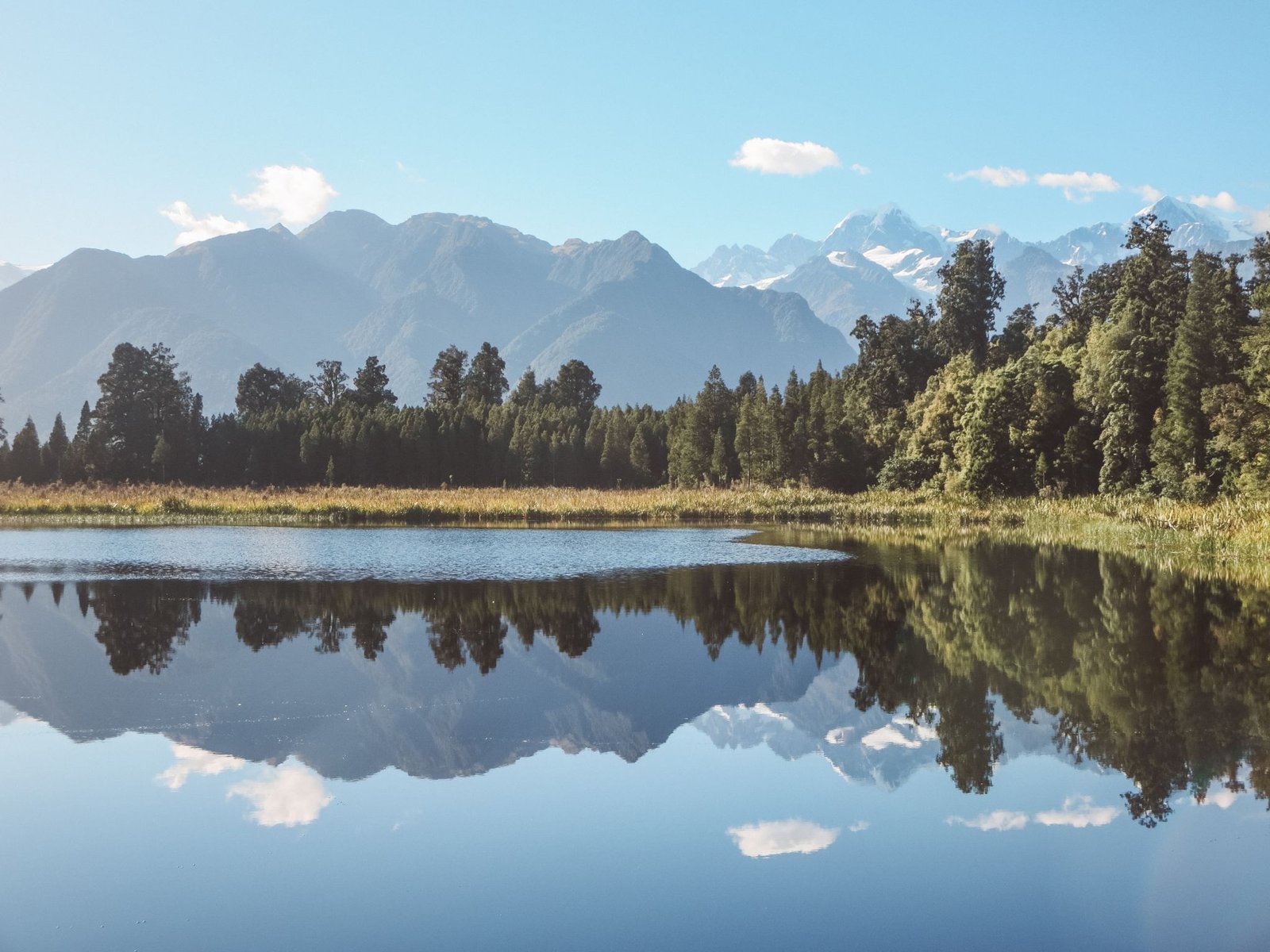 jana meerman lake matheson fox glacier (2)