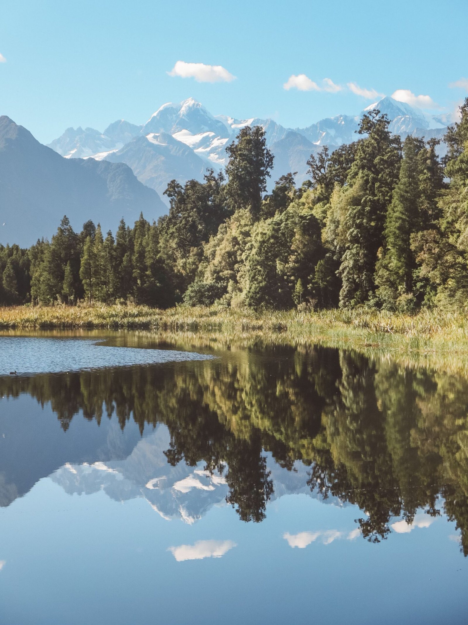 jana meerman lake matheson fox glacier (3)