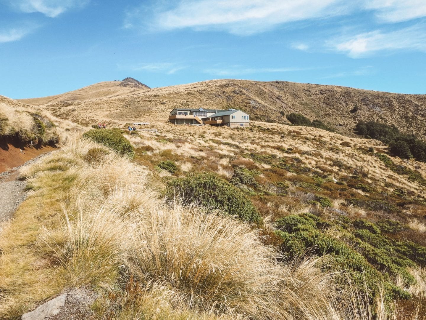 jana meerman luxmore hut kepler track (14)