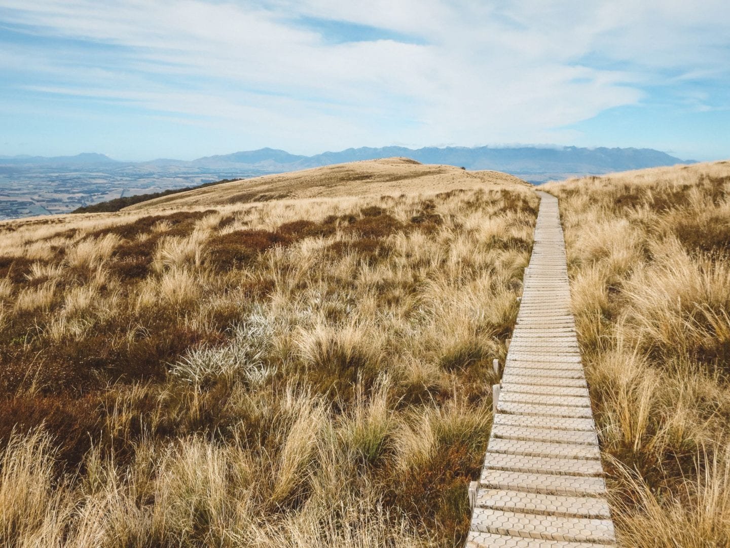 jana meerman luxmore hut kepler track (17)