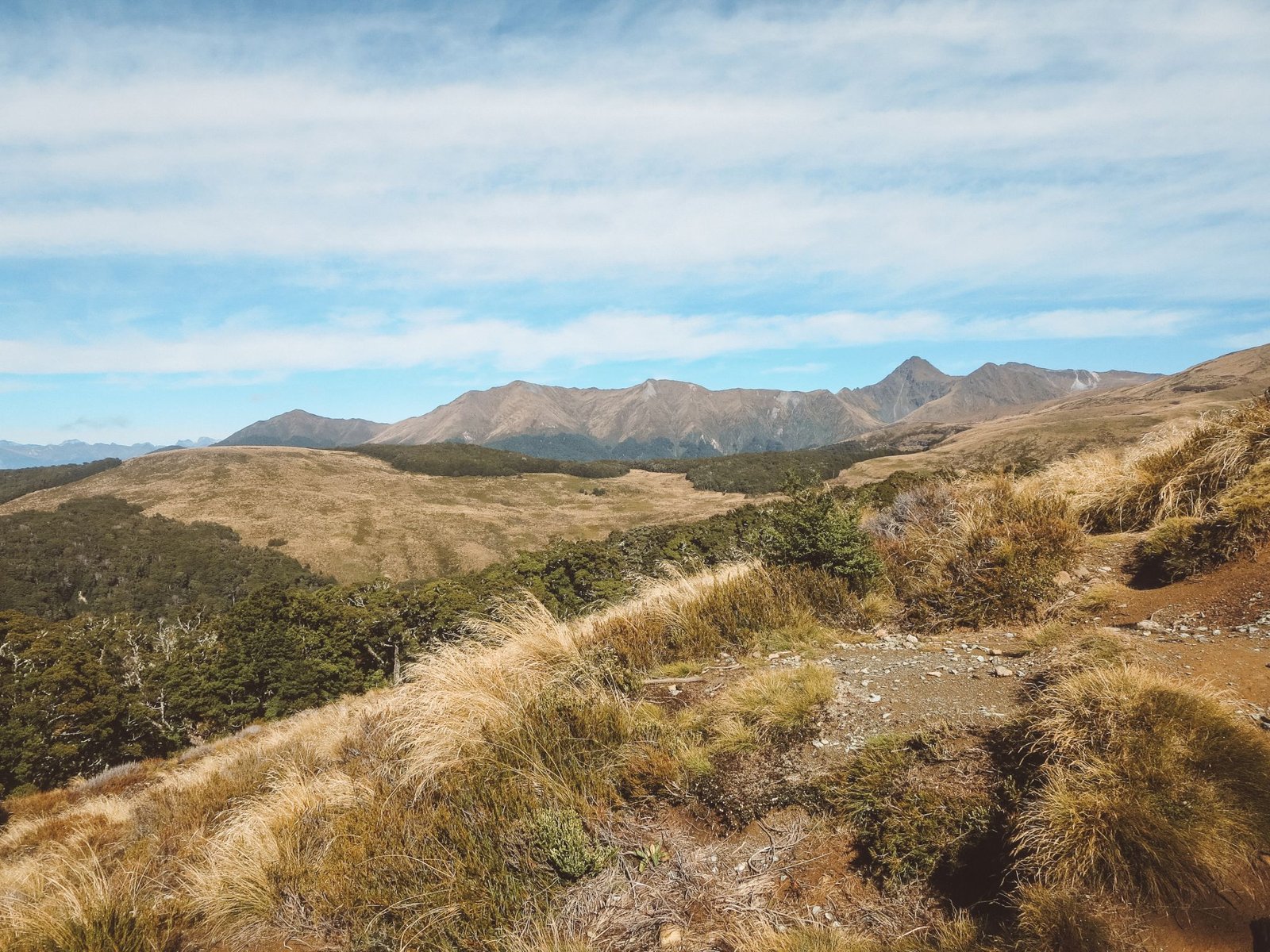 jana meerman luxmore hut kepler track (1)