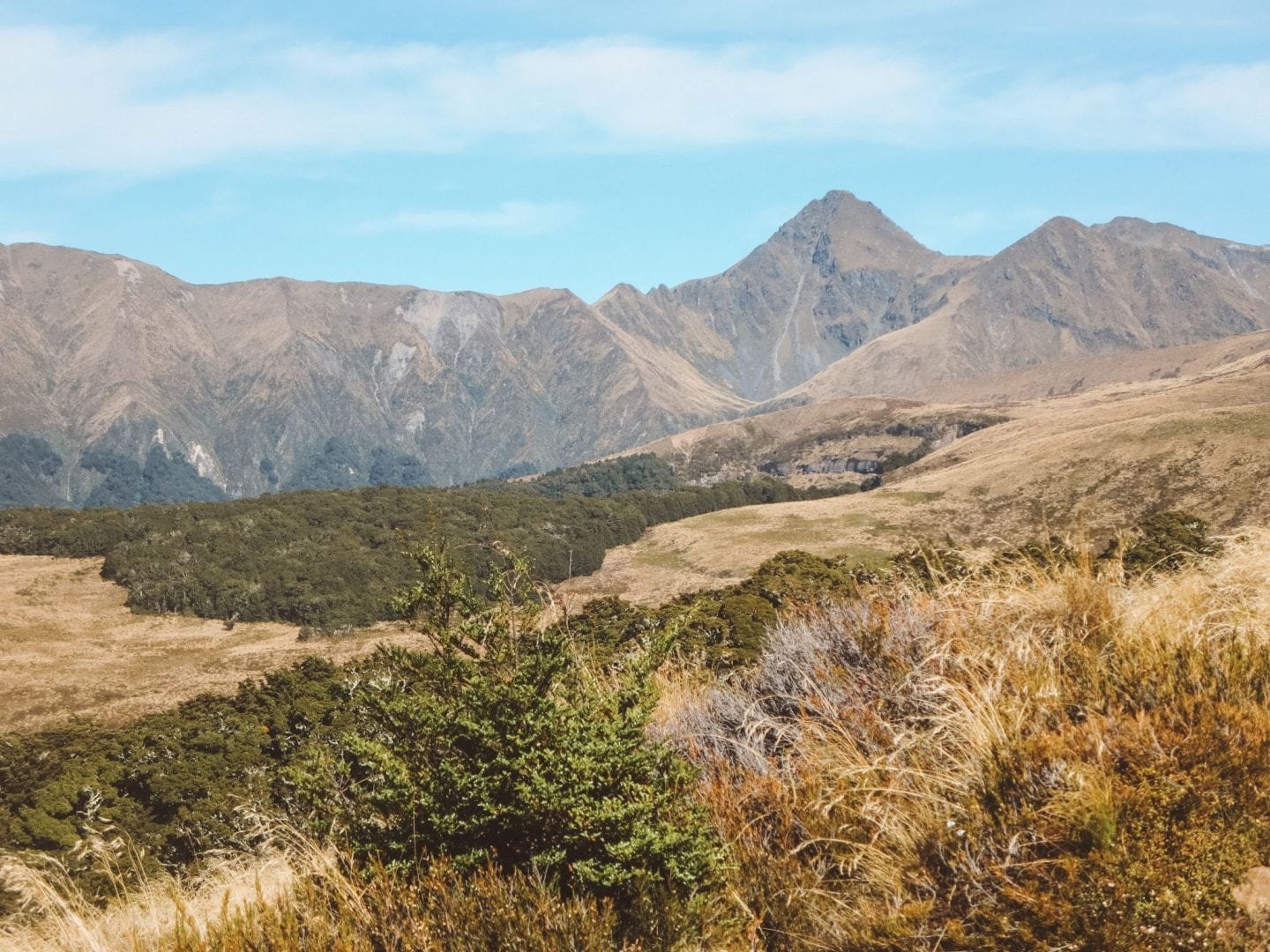 jana meerman luxmore hut kepler track (4)