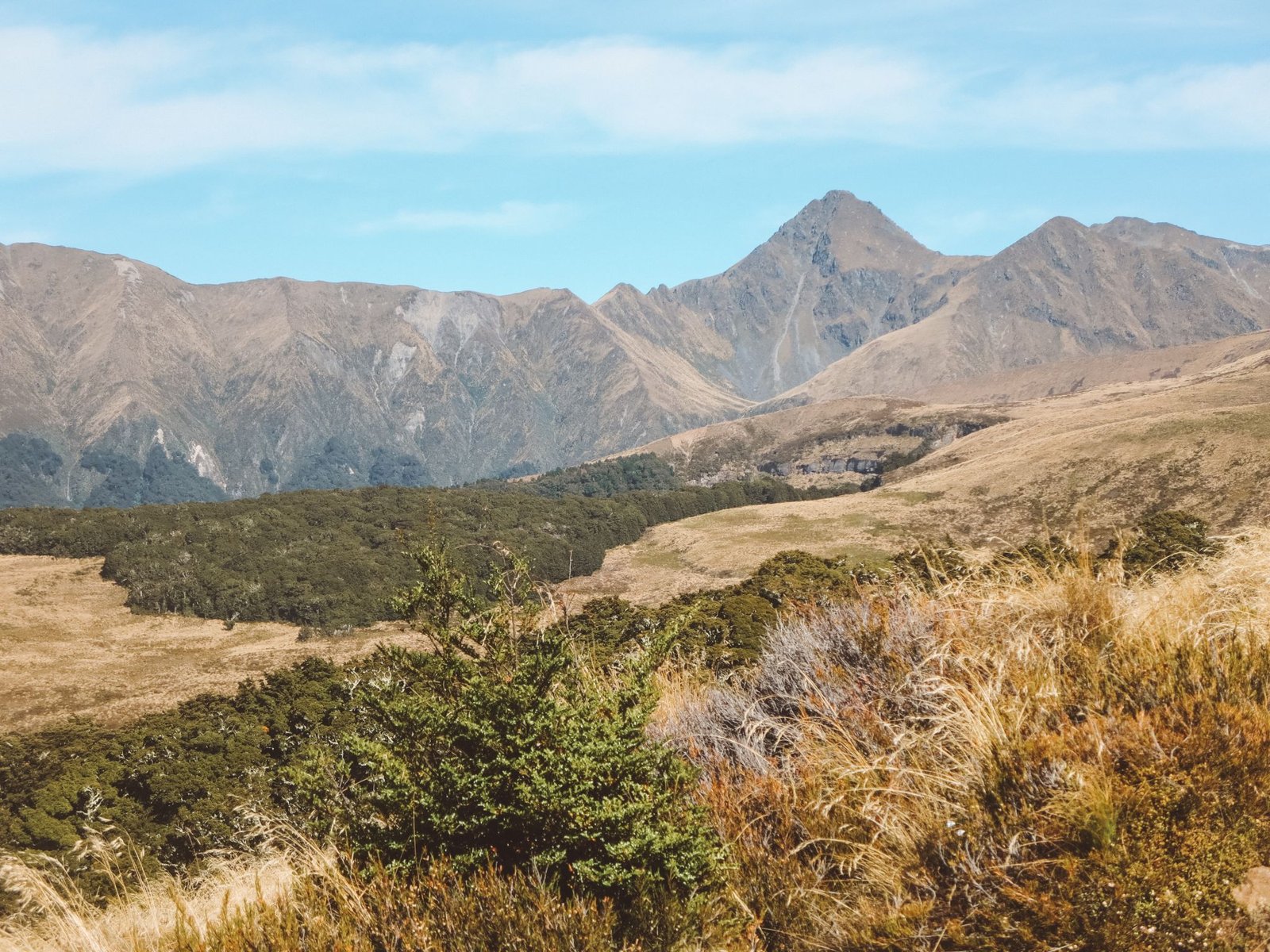 jana meerman luxmore hut kepler track (1)