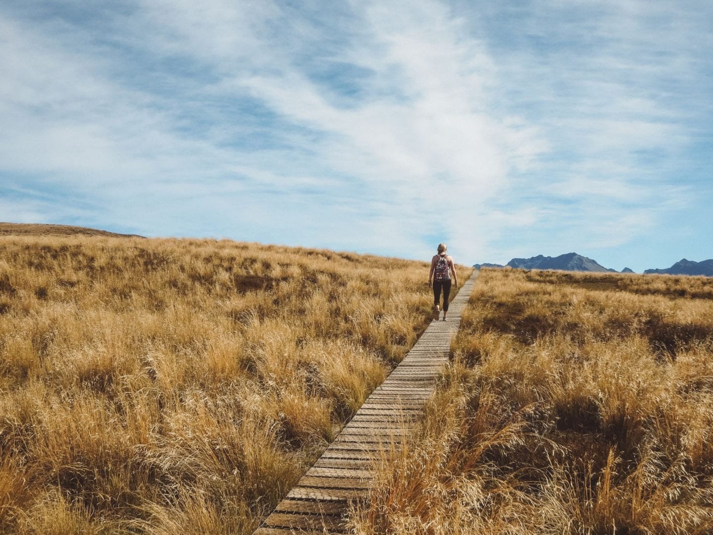 jana meerman luxmore hut kepler track (7)