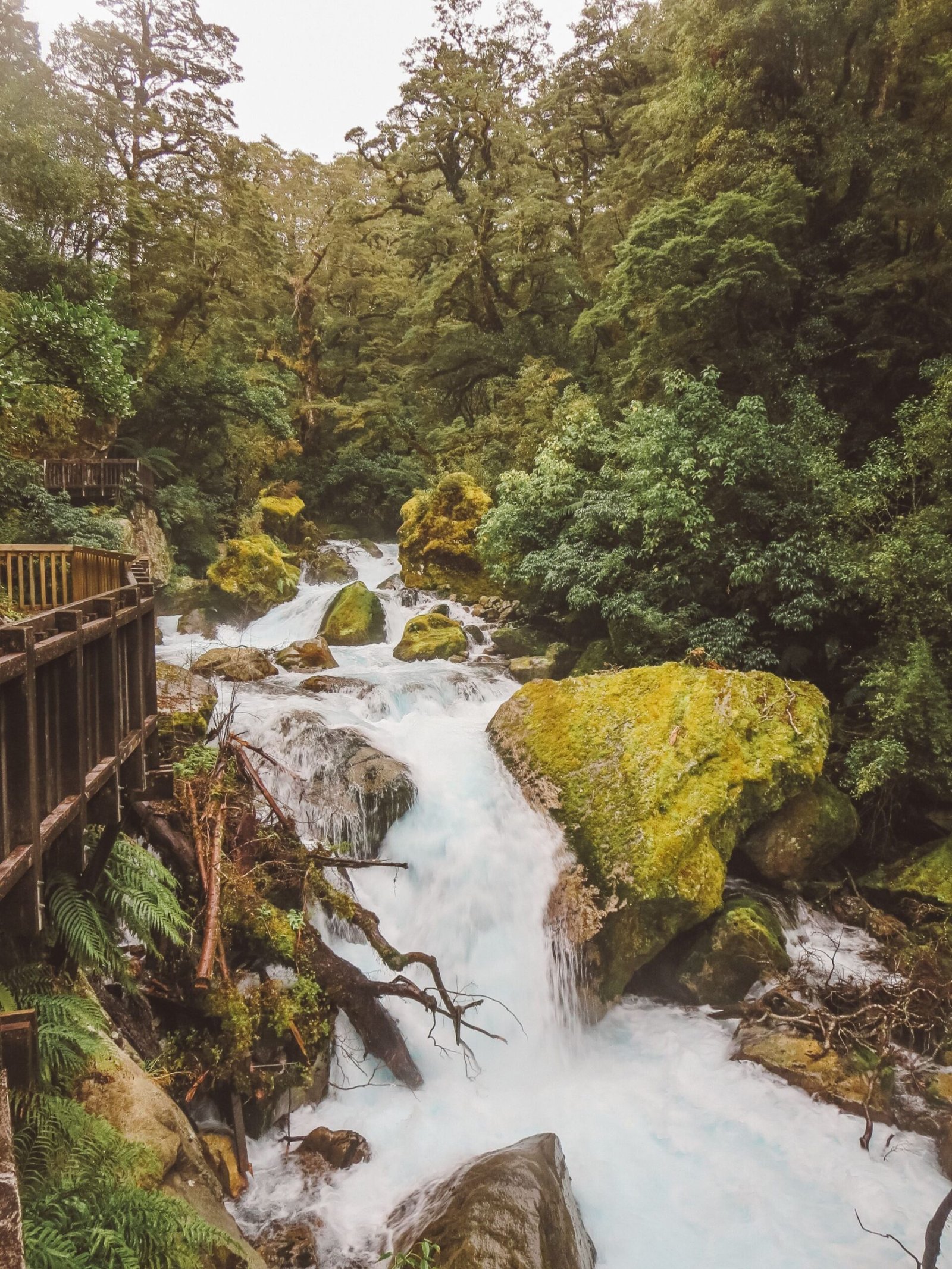 jana meerman milford sound (1)