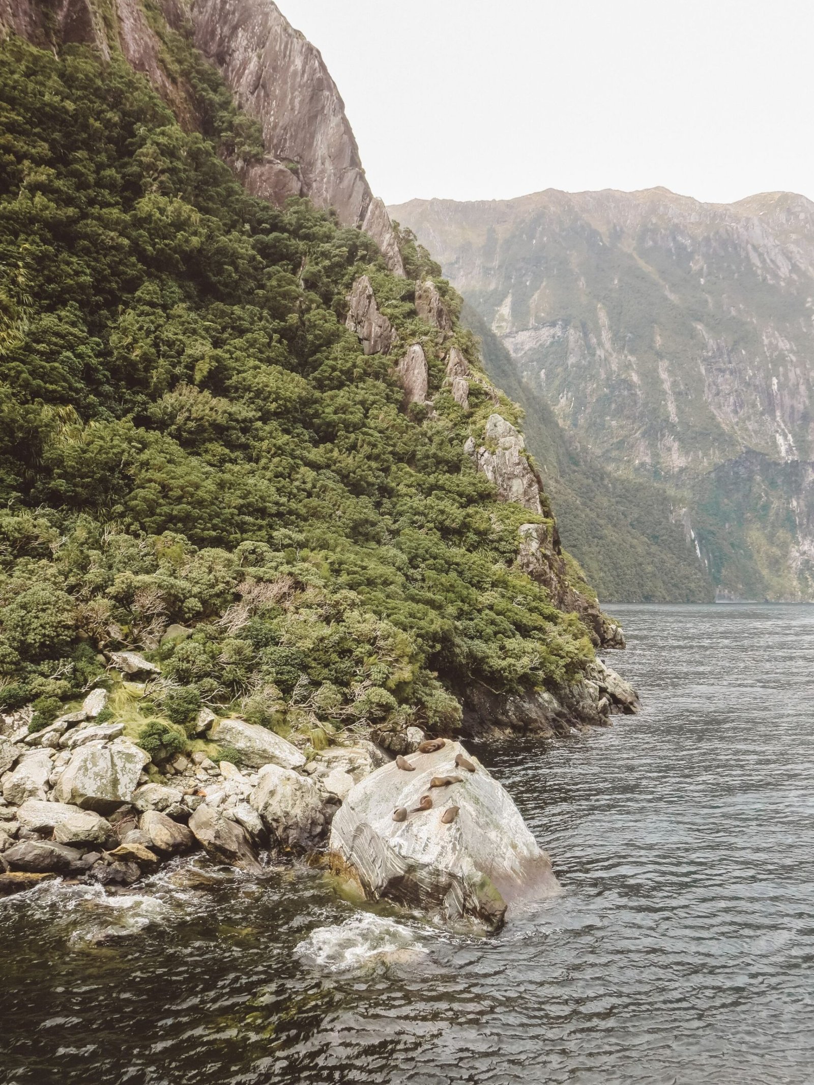 jana meerman milford sound (6)