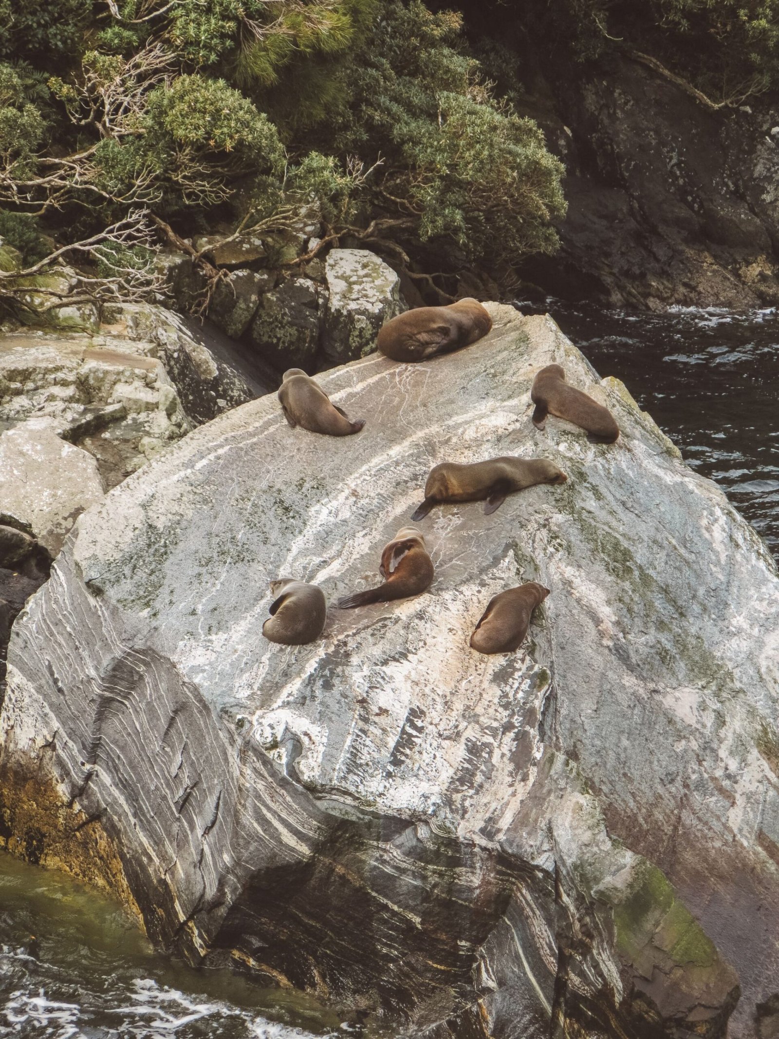 jana meerman milford sound (6)