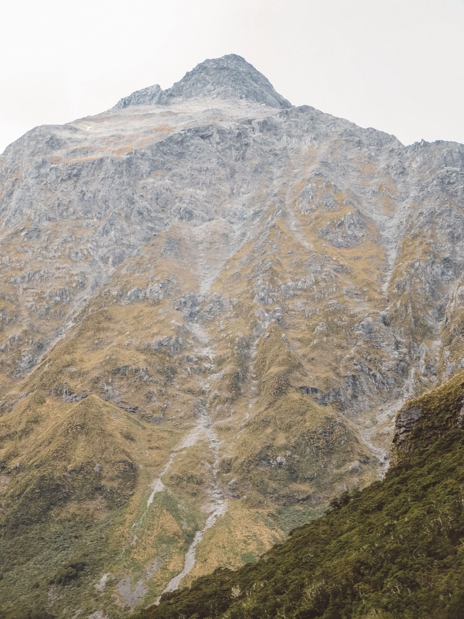 jana meerman milford sound (1)