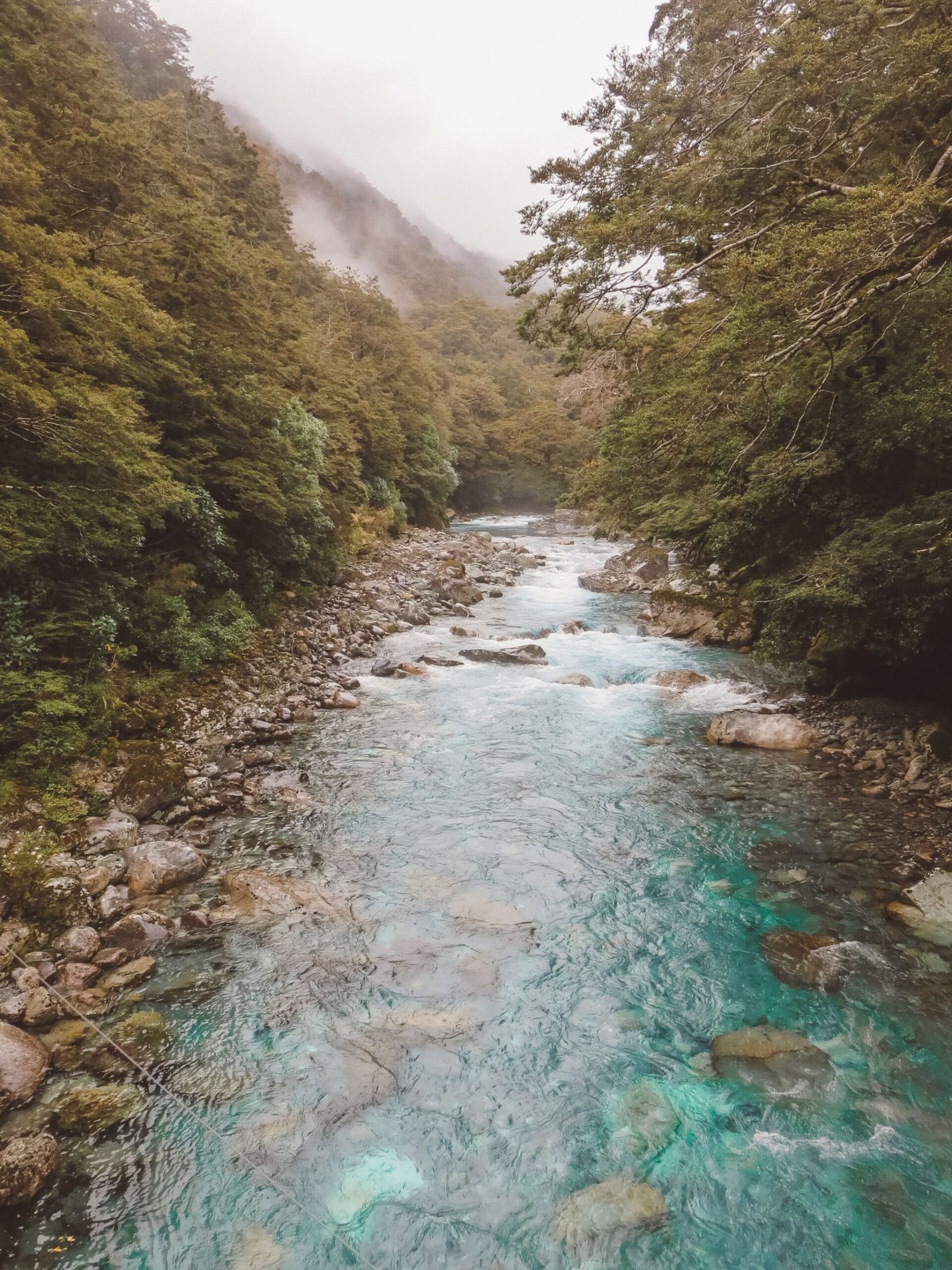 jana meerman milford sound (1)