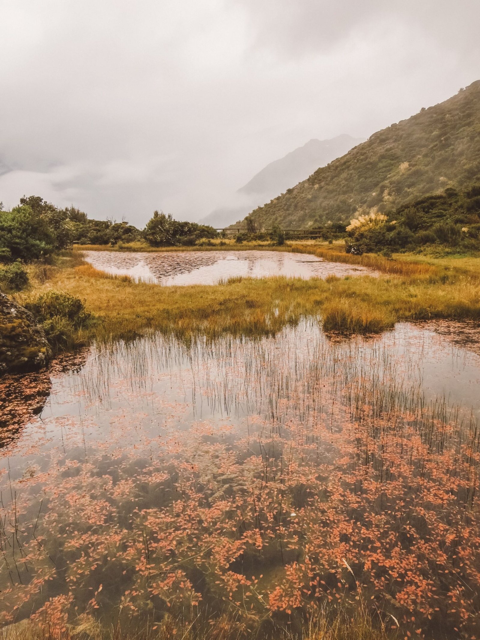 jana meerman red tarns mount cook (2)
