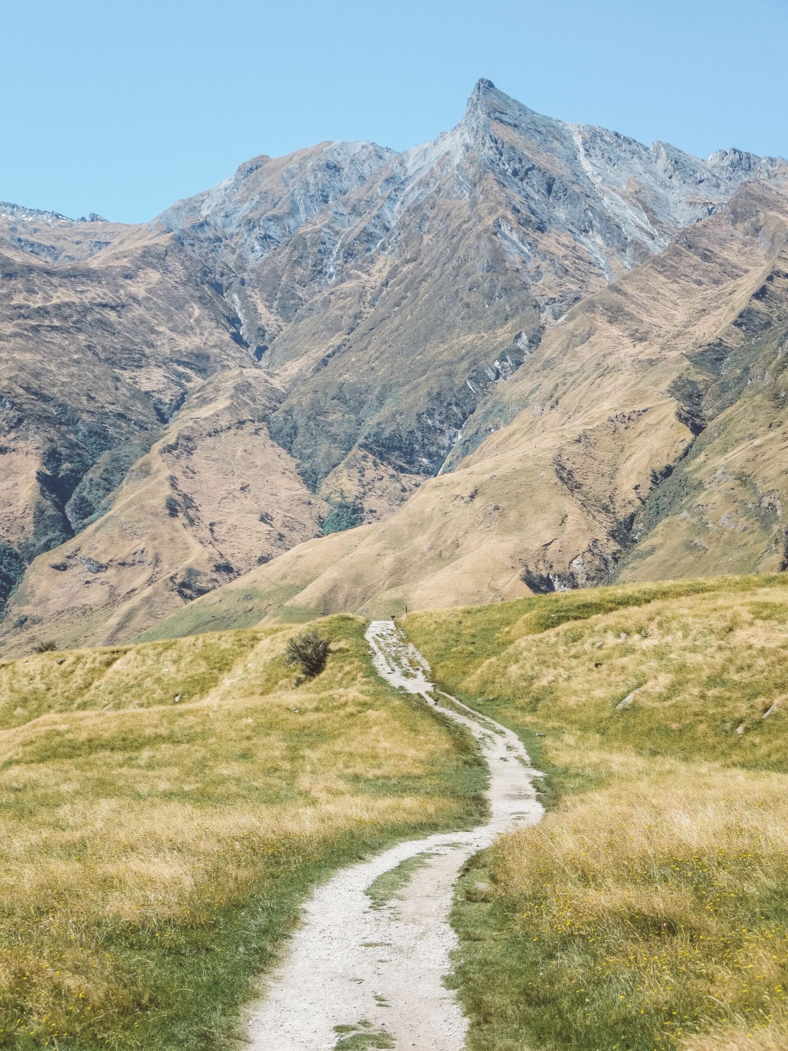 jana meerman rob roy glacier track (10)