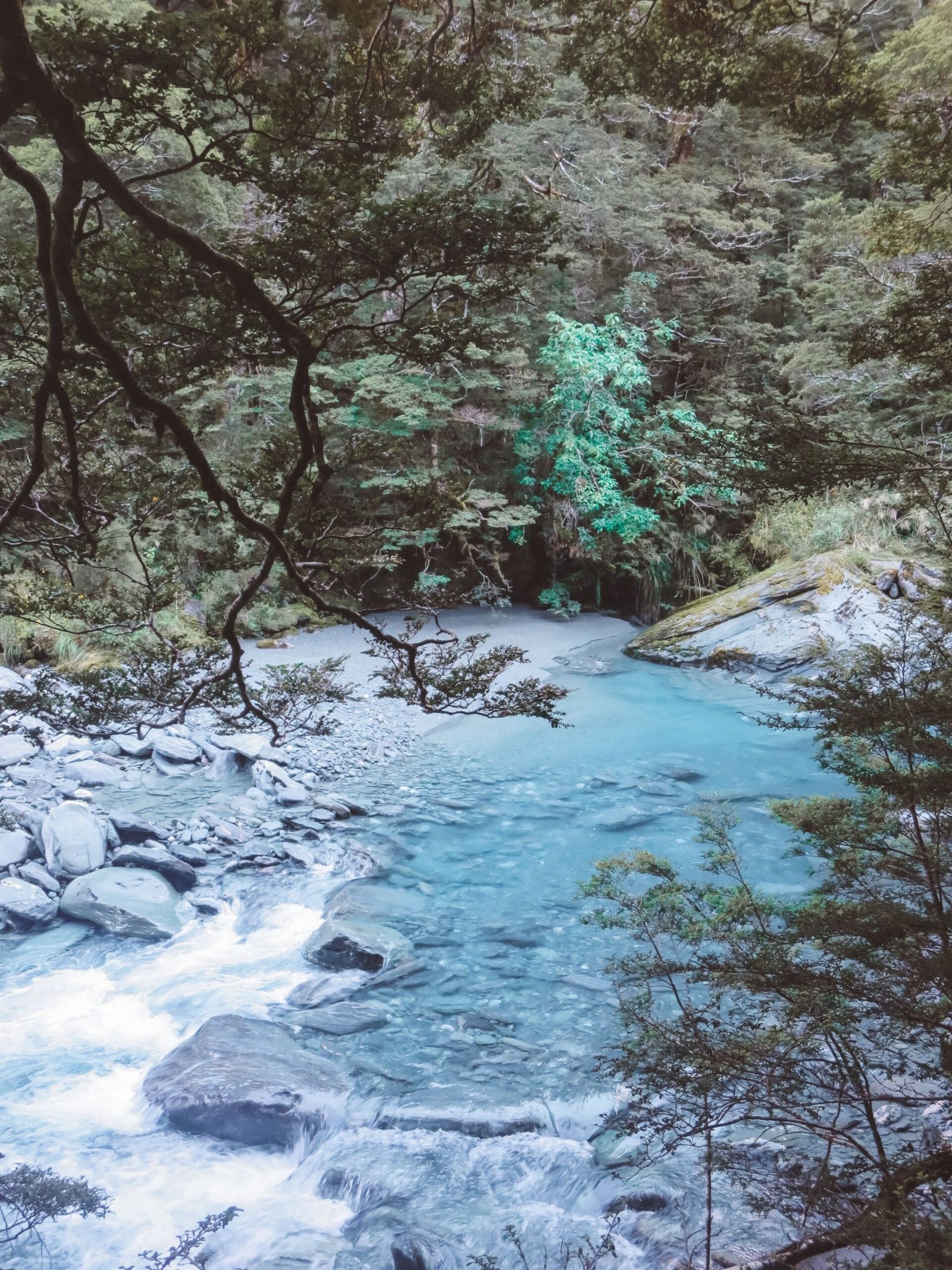 jana meerman rob roy glacier track (5)