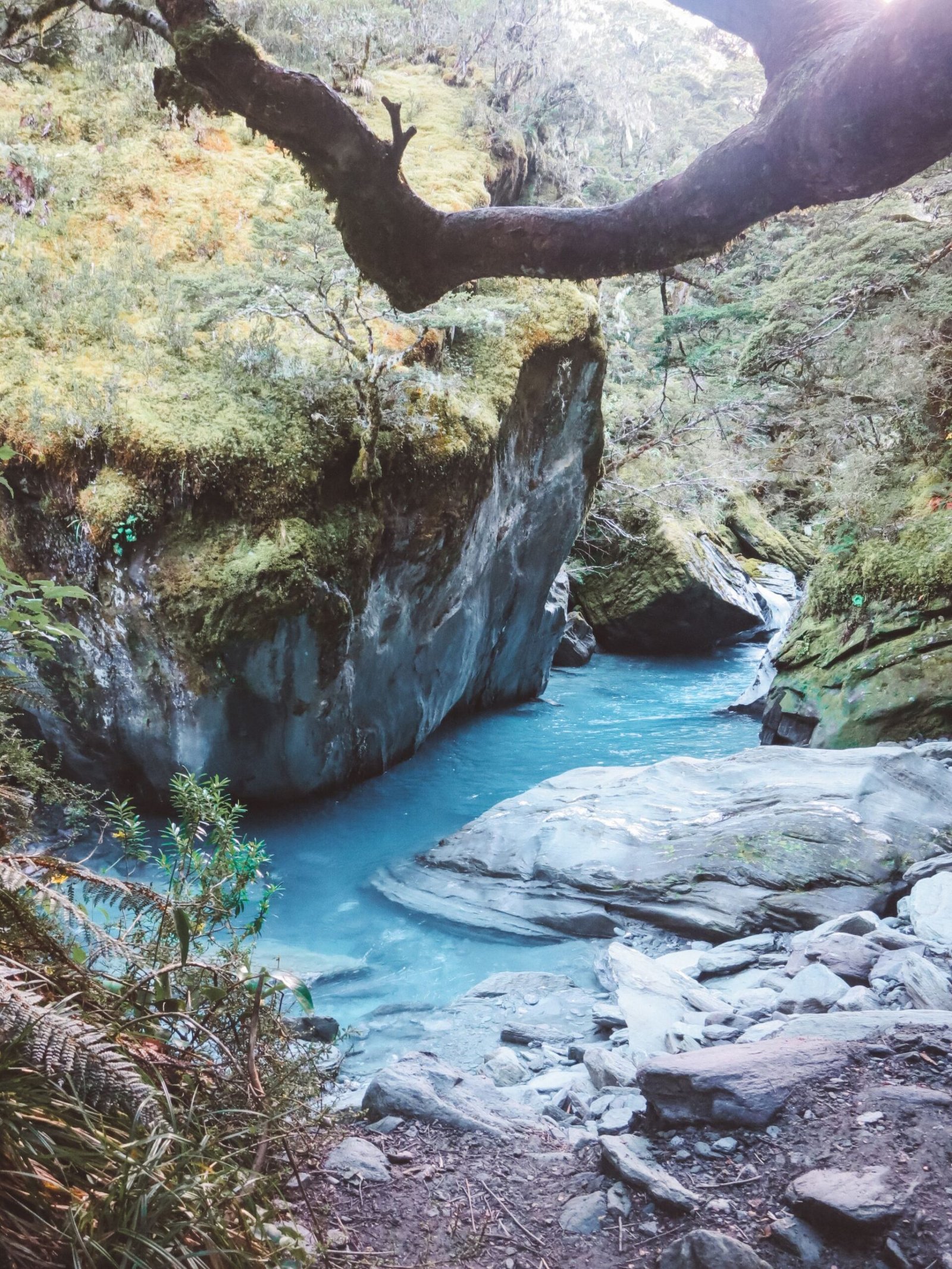 jana meerman rob roy glacier track (6)