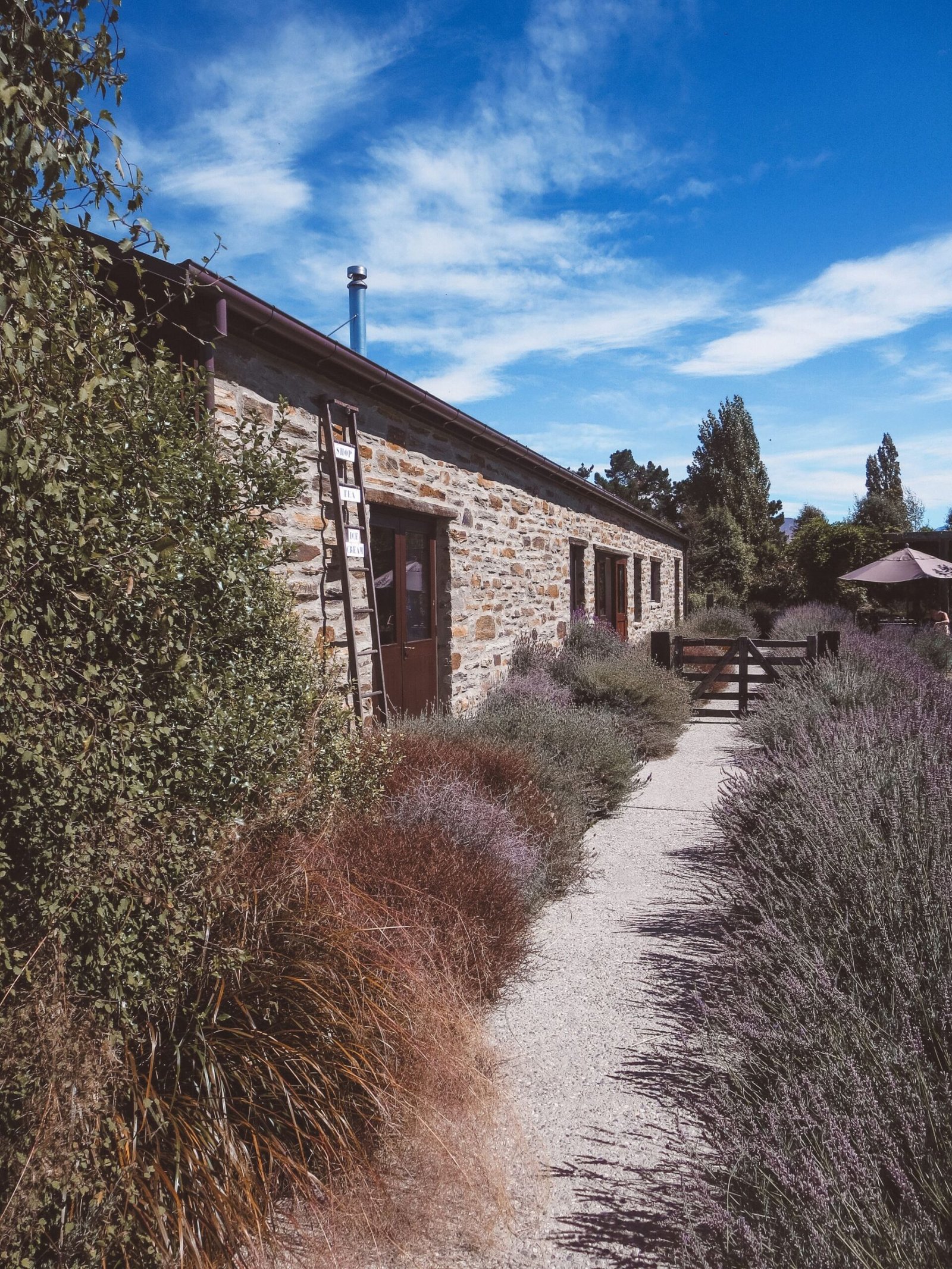 jana meerman wanaka lavender farm (22)