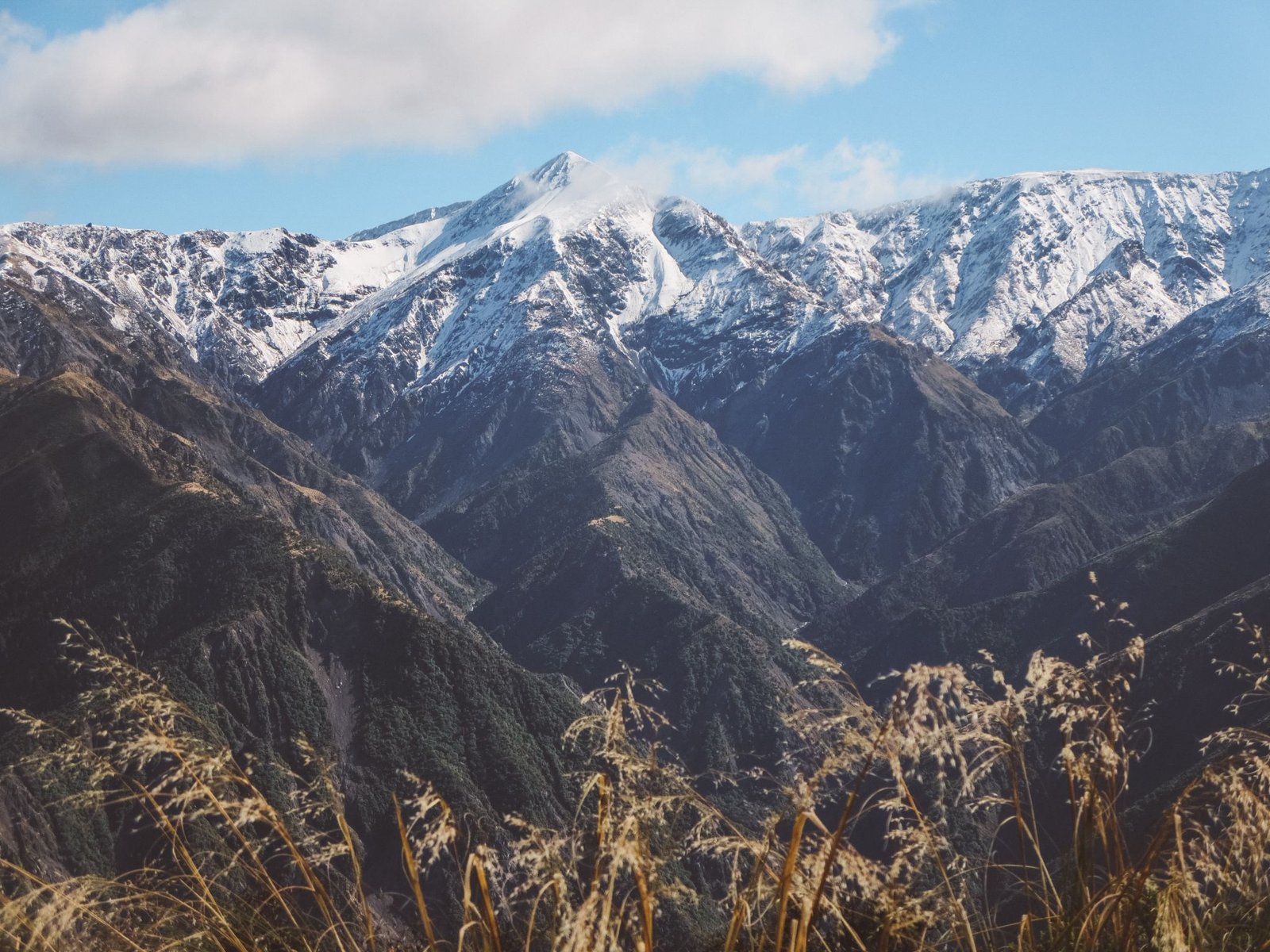 jana meerman mount fyffe hike kaikoura (8)