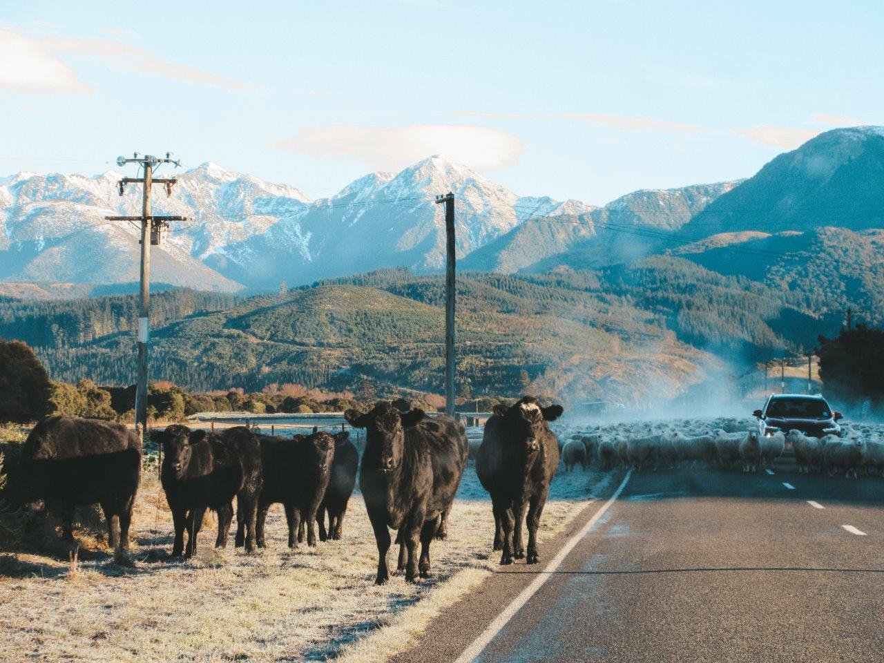 jana meerman hanmer springs new zealand (1)