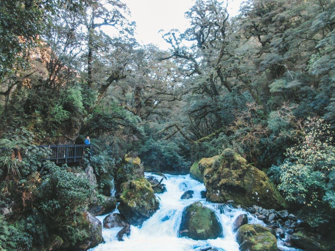 jana meerman lake marian milford sound 0