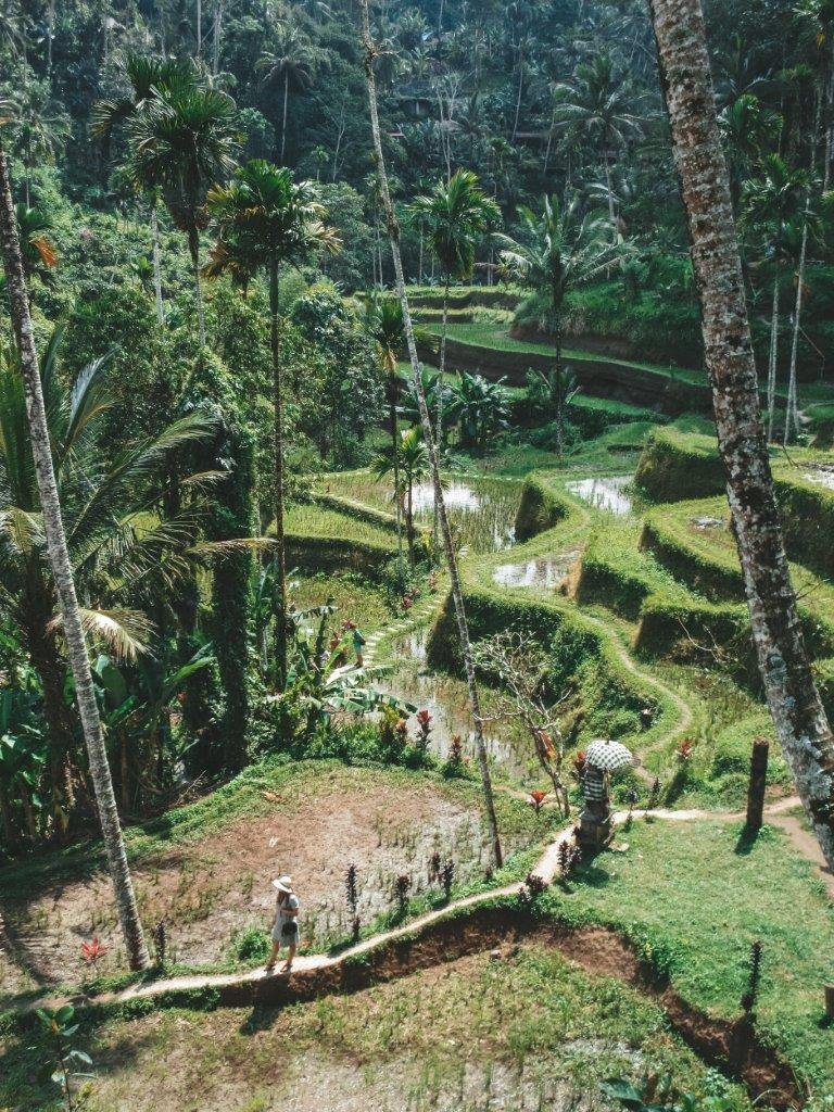 jana meerman tegallalang rice terraces bali 11