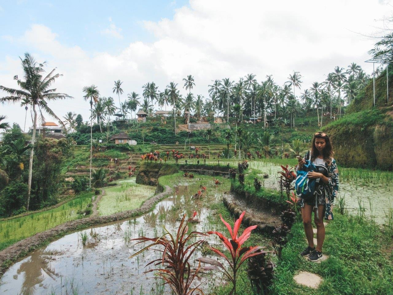 jana meerman tegallalang rice terraces bali 1