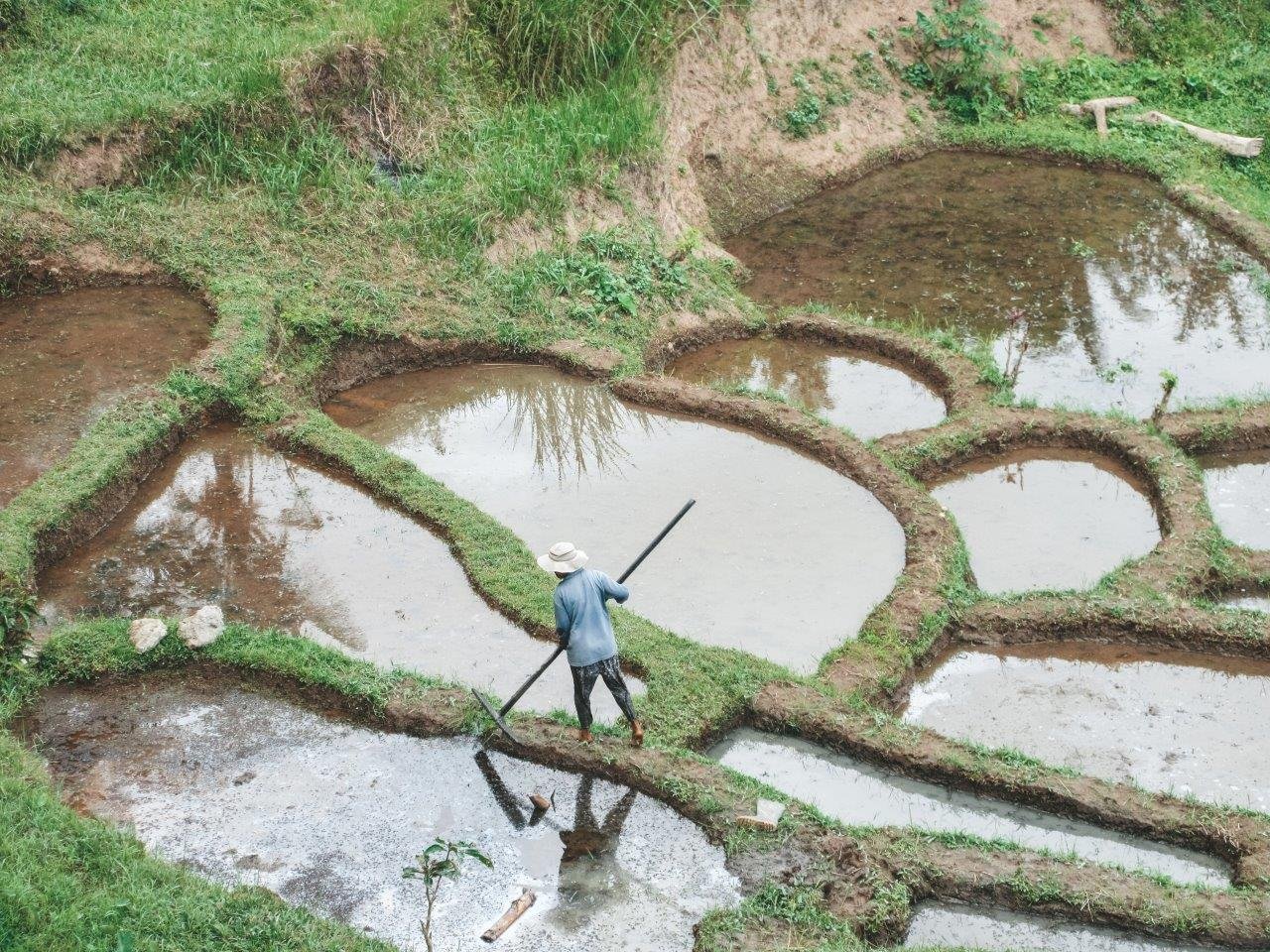 jana meerman tegallalang rice terraces bali 1