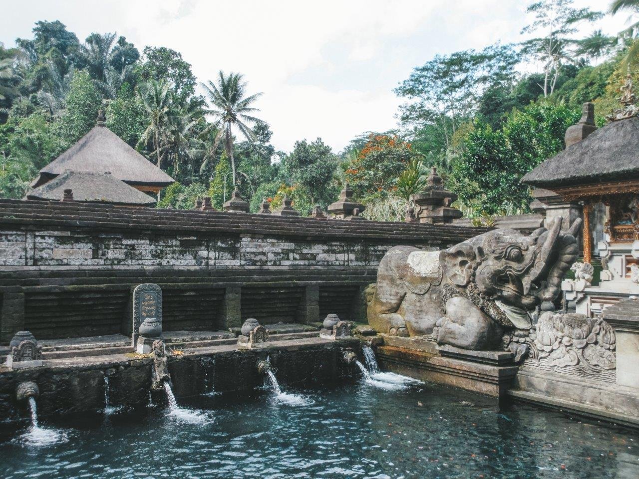 jana meerman tirtu empul holy spring bali 1