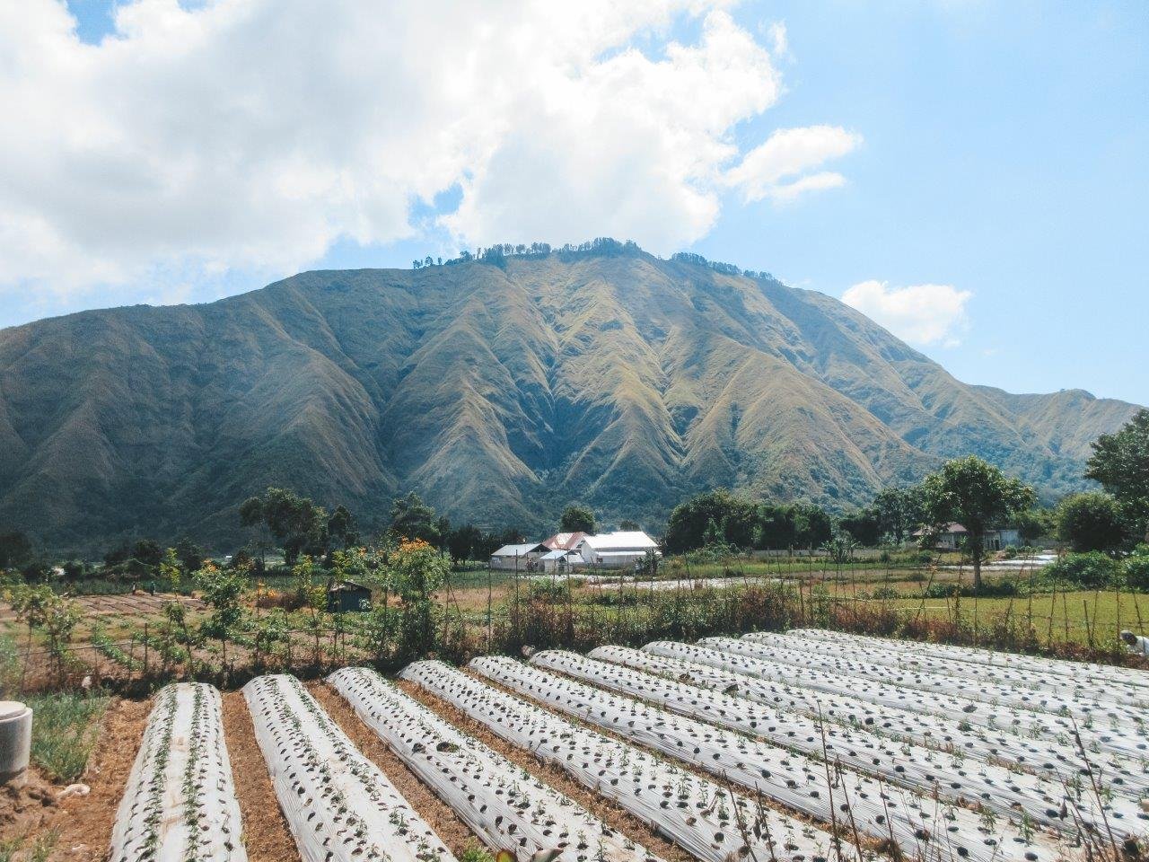 jana meerman bukit selong sembulan indonesia 1