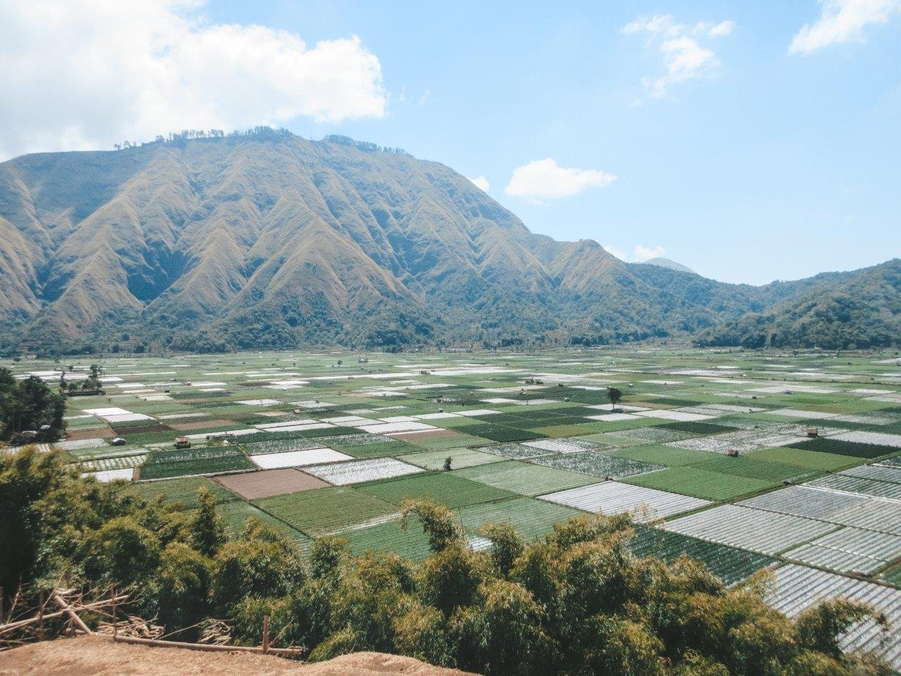 jana meerman bukit selong sembulan indonesia 3