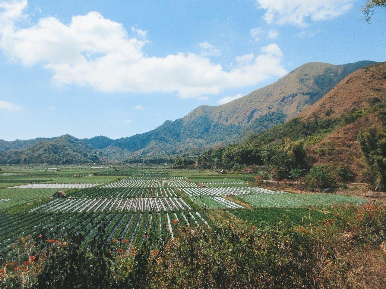 jana meerman bukit selong sembulan indonesia 4