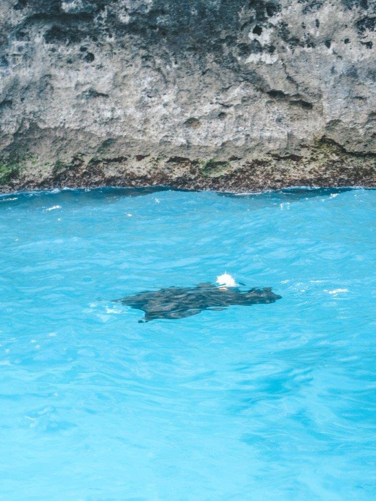 jana meerman crystal bay nusa penida (1)