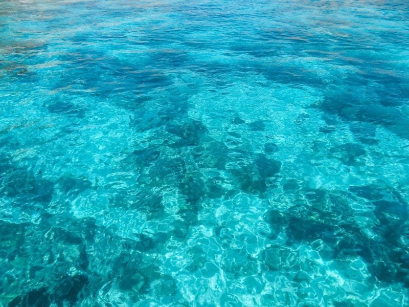 Snorkeling Pink Beaches in Komodo National Park, Indonesia | Jana Meerman