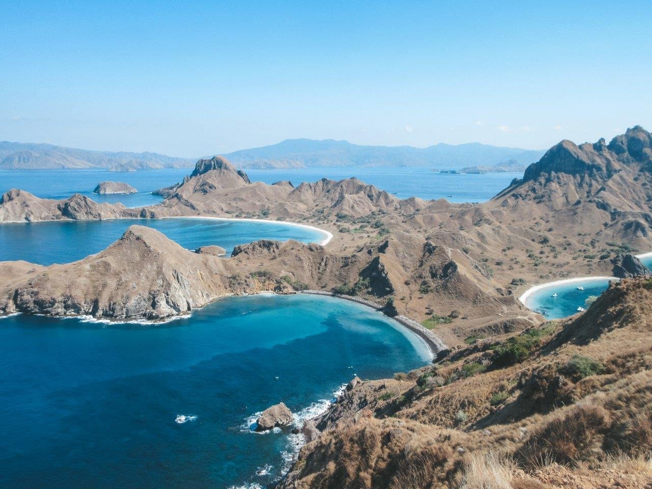 jana meerman komodo national park (7)