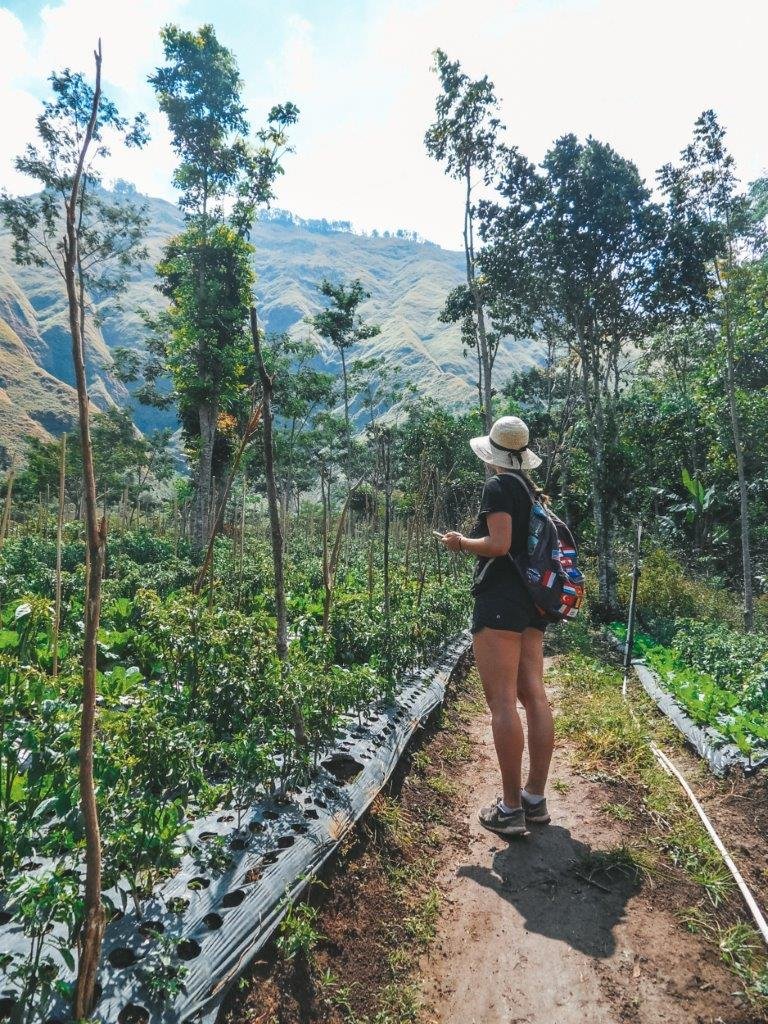 jana meerman pergasingan hill sembulan lombok