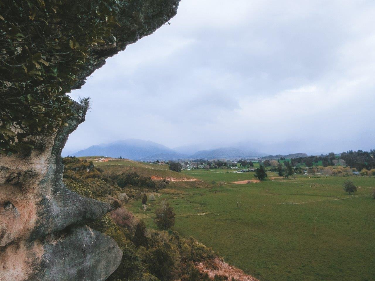 jana meerman grove scenic reserve takaka (1)