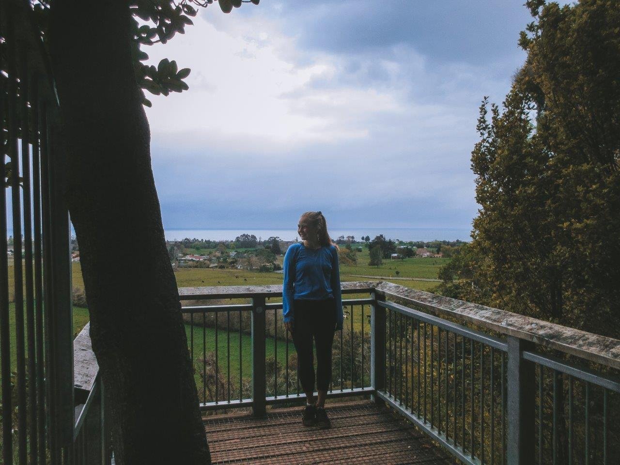 jana meerman grove scenic reserve takaka (1)