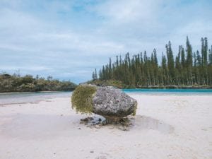 A Day On The Isle Of Pines In New Caledonia | Jana Meerman