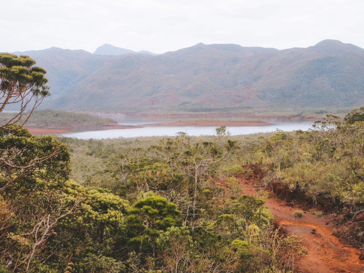 jana meerman parc provincial de la riviere bleue new caledonia (1)