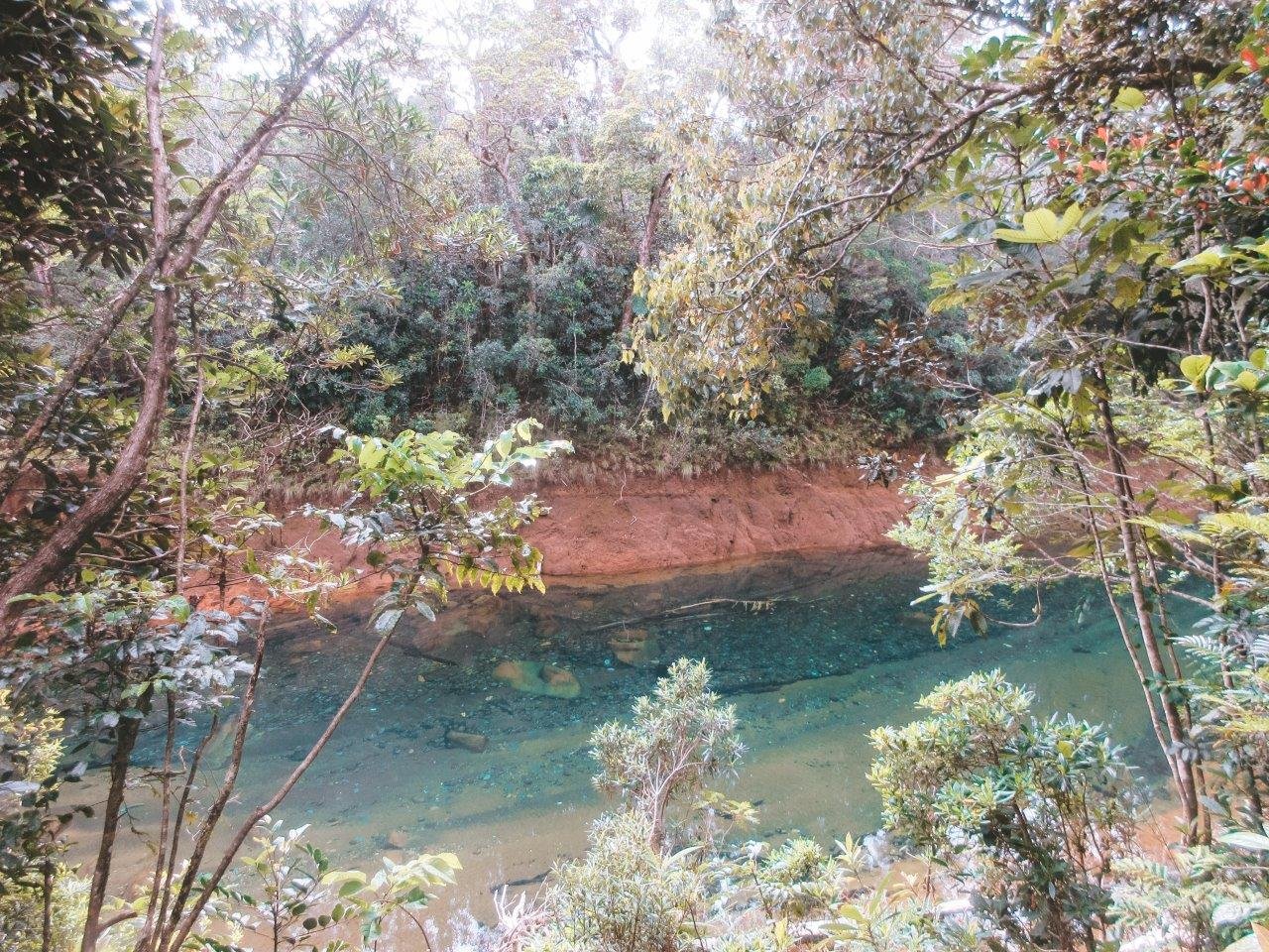 jana meerman parc provincial de la riviere bleue new caledonia (1)