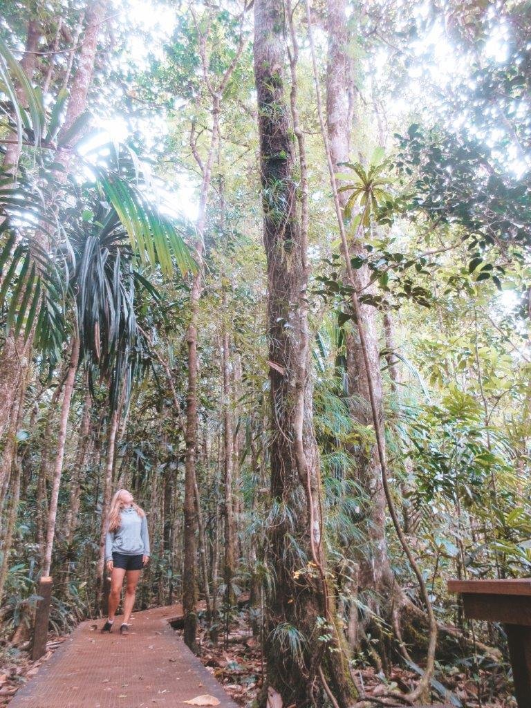 jana meerman parc provincial de la riviere bleue new caledonia (1)