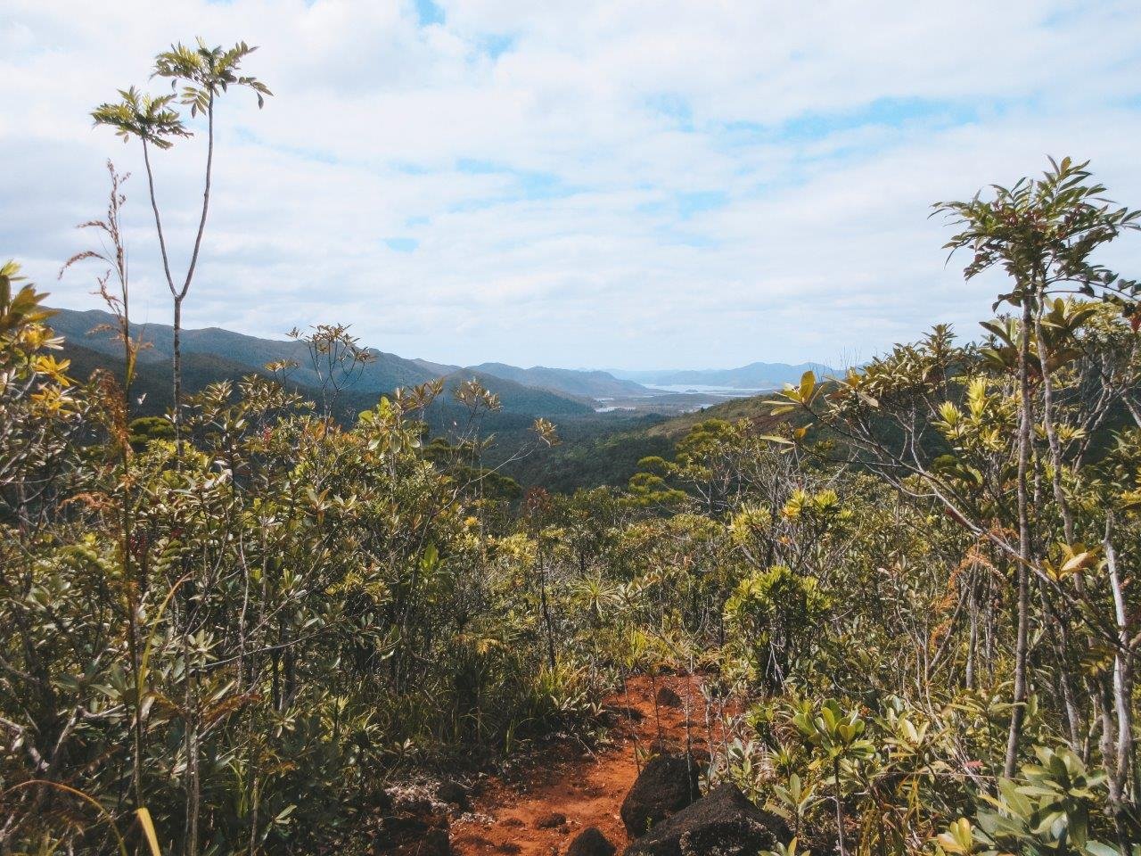 jana meerman parc provincial de la riviere bleue new caledonia (14)