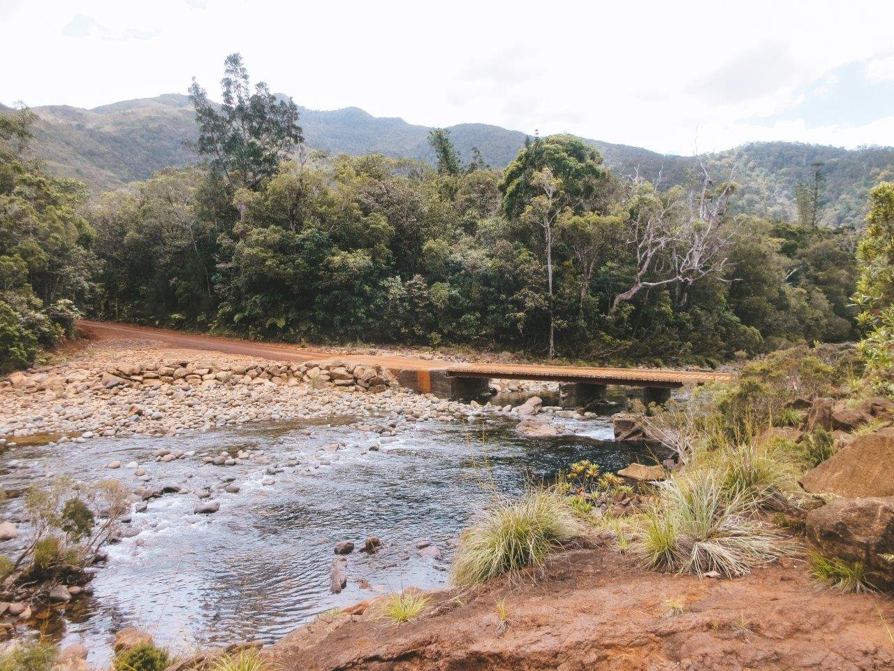 jana meerman parc provincial de la riviere bleue new caledonia (16)