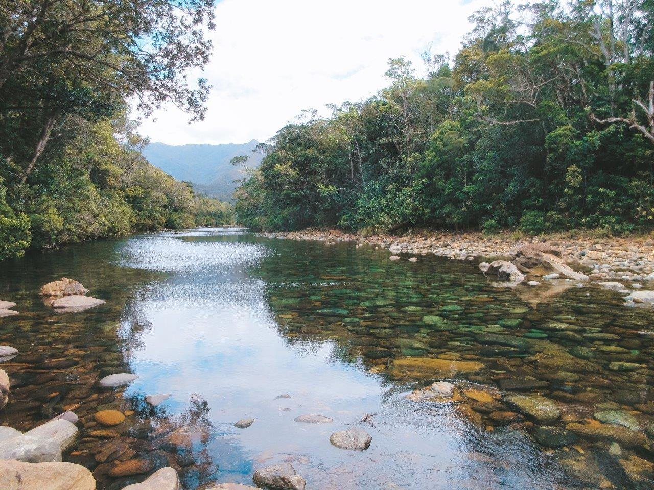 A Guide to Parc Provincial de la Rivière Bleue in New Caledonia Jana