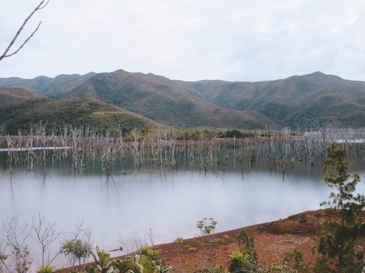 jana meerman parc provincial de la riviere bleue new caledonia (1)