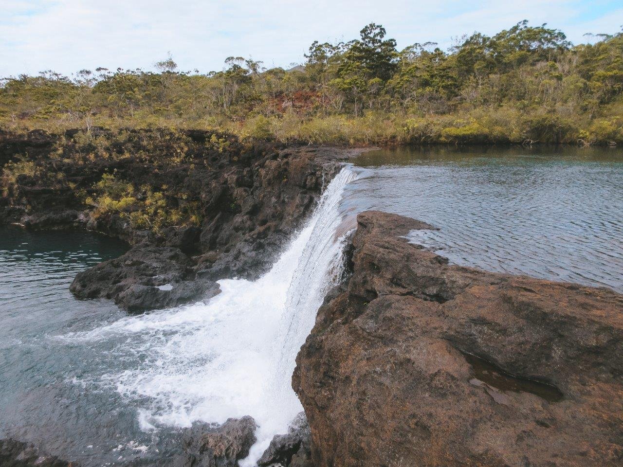 jana meerman parc provincial de la riviere bleue new caledonia (19)