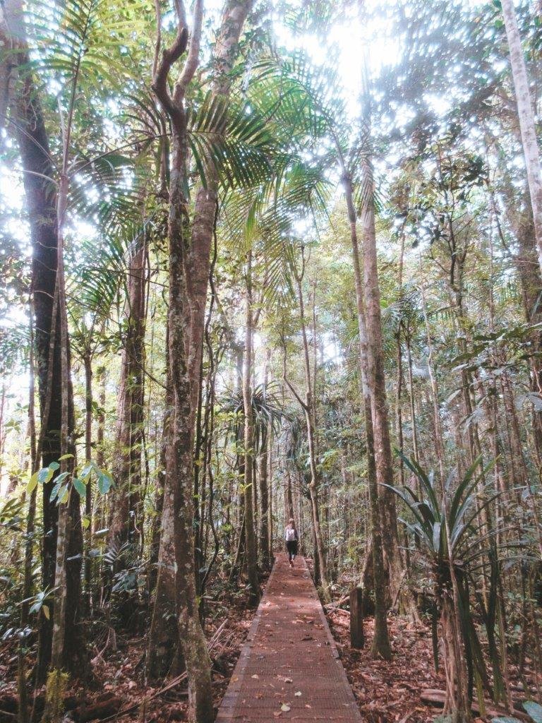 jana meerman parc provincial de la riviere bleue new caledonia (1)